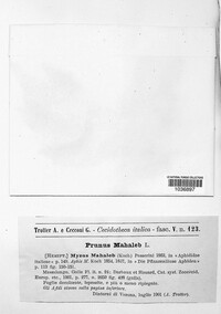 Image Associated With the Occurence